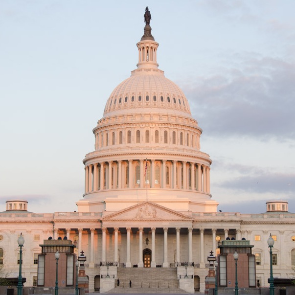 Capitol Dome in Washington D.C. at sunrise 